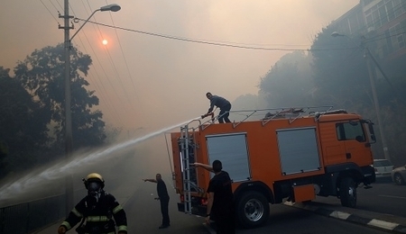 47657.jpg
