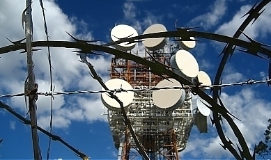 47638.jpg