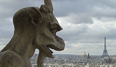 41349.jpg