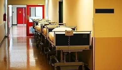 41403.jpg