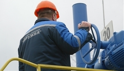 41505.jpg