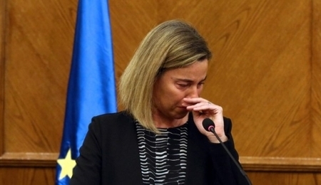 42171.jpg