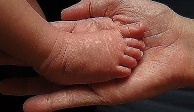 42319.jpg