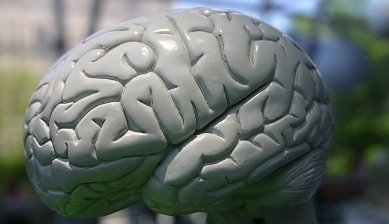 43079.jpg
