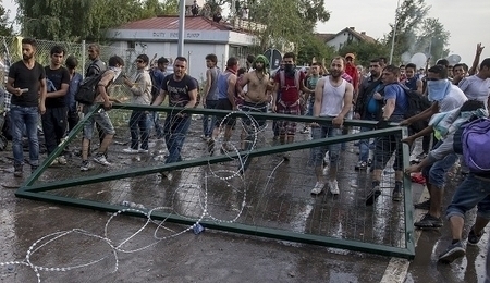 43315.jpg