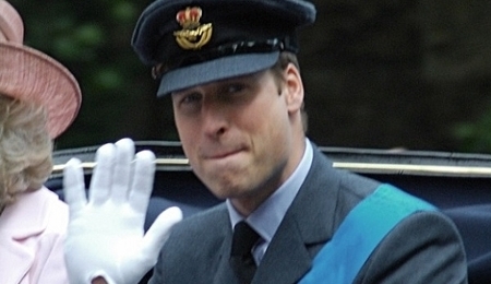 44131.jpg