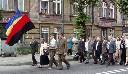 43673.jpg