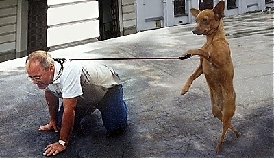 44396.jpg