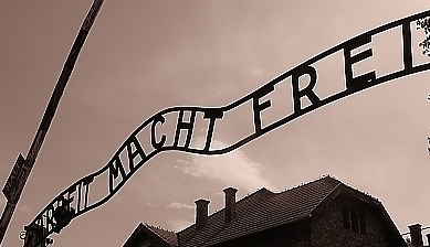 45348.jpg