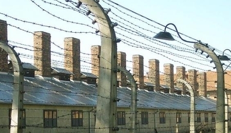 48977.jpg