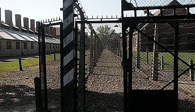 49159.jpg
