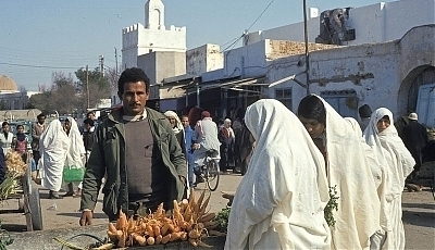 48530.jpg