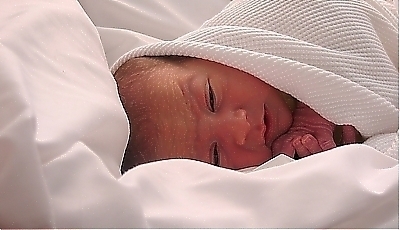 55005.jpg