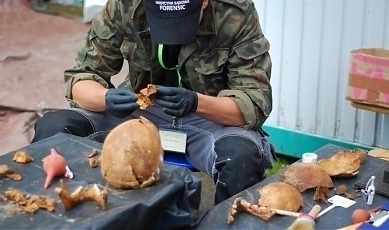 49859.jpg
