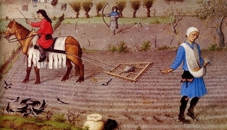 50069.jpg