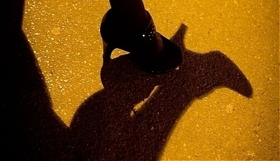 49914.jpg