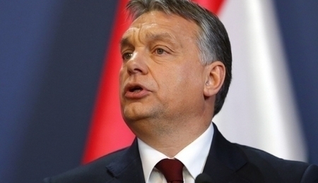 50646.jpg