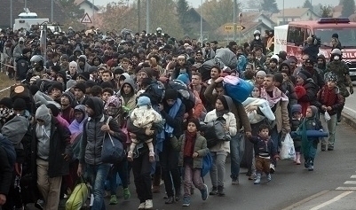 50922.jpg