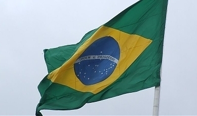51339.jpg