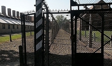 53033.jpg