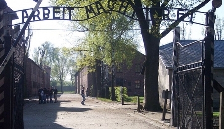 53329.jpg