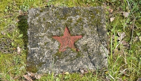 54016.jpg