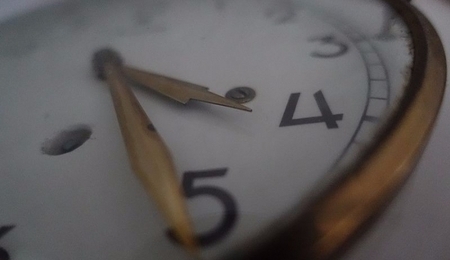 54557.jpg
