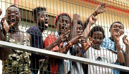64173.jpg