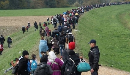 63975.jpg