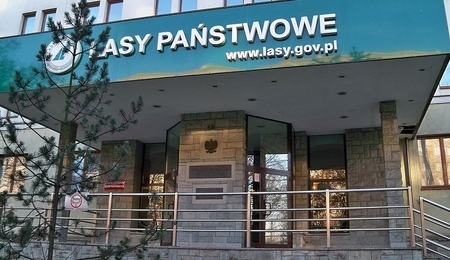 61686.jpg