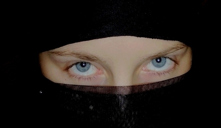 65333.jpg