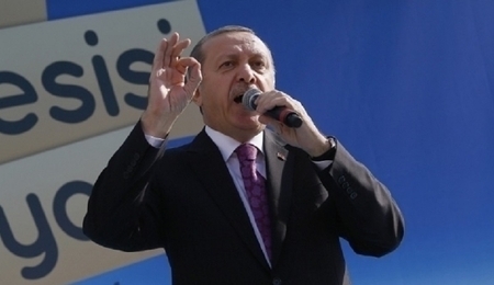72977.jpg