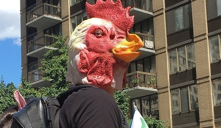 72927.jpg