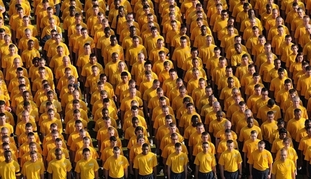 66079.jpg