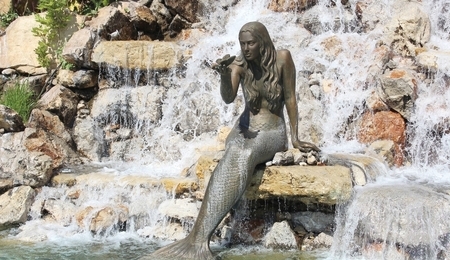 67921.jpg