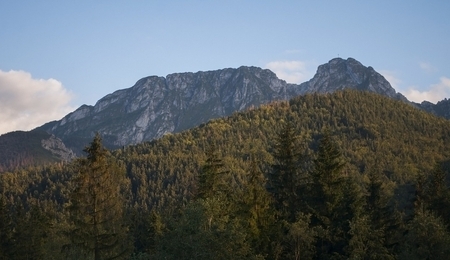 70465.jpg