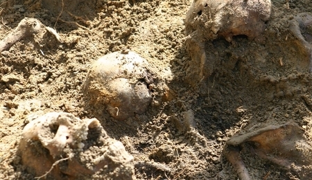 70759.jpg