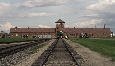 73621.jpg