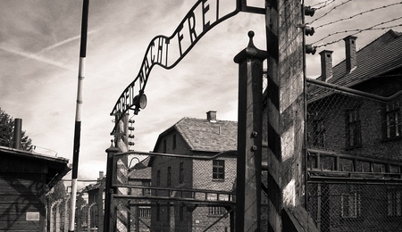 73484.jpg