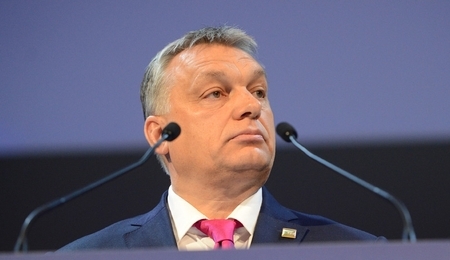 79850.jpg