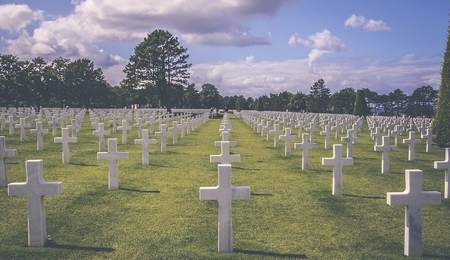 75963.jpg