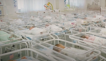 75952.jpg
