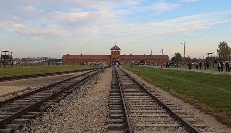 76591.jpg