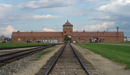 77144.jpg