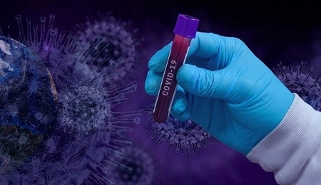 77627.jpg
