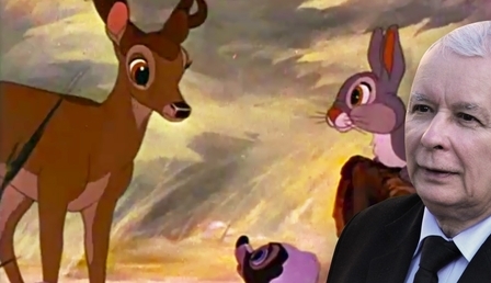 78652.jpg