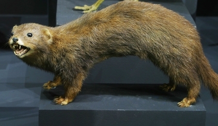 78561.jpg