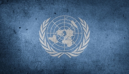78316.jpg