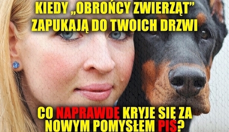 78362.jpg