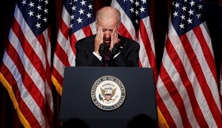 81531.jpg